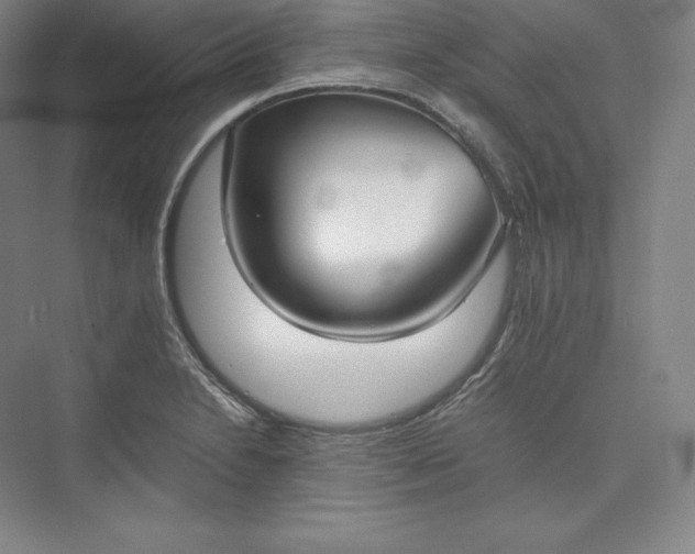 X0000073471230200608111527