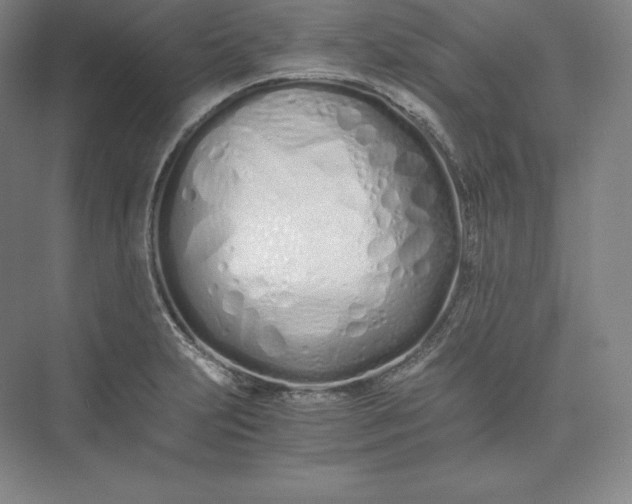 X0000073471231200608111527