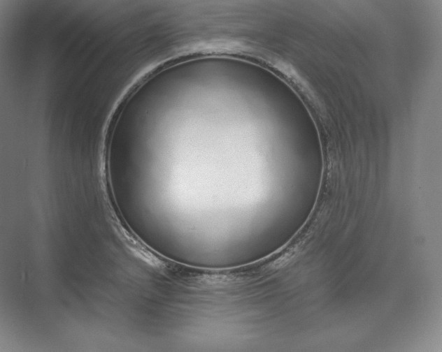 X0000073471232200608111527