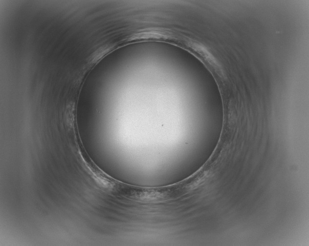 X0000073471233200608111527