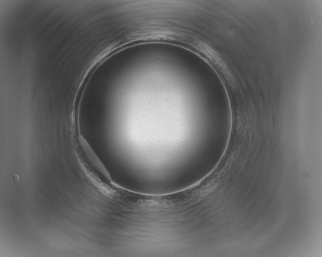 X0000073471234200608111527