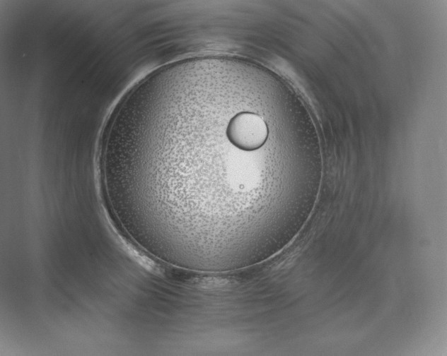 X0000073471235200608111527