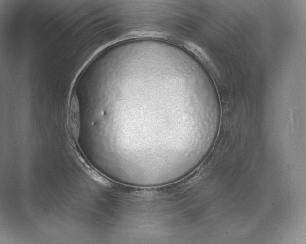 X0000073471236200608111527