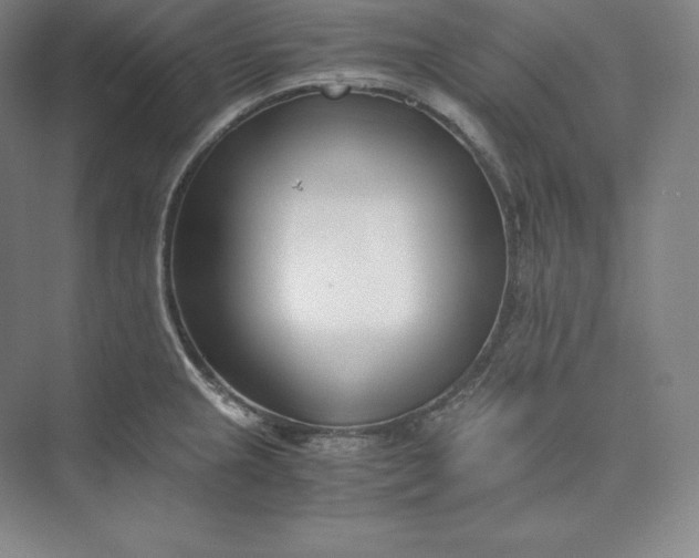 X0000073471237200608111527