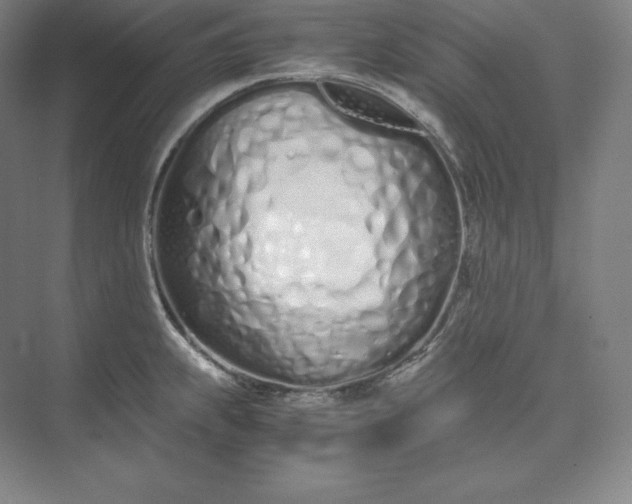 X0000073471239200608111528