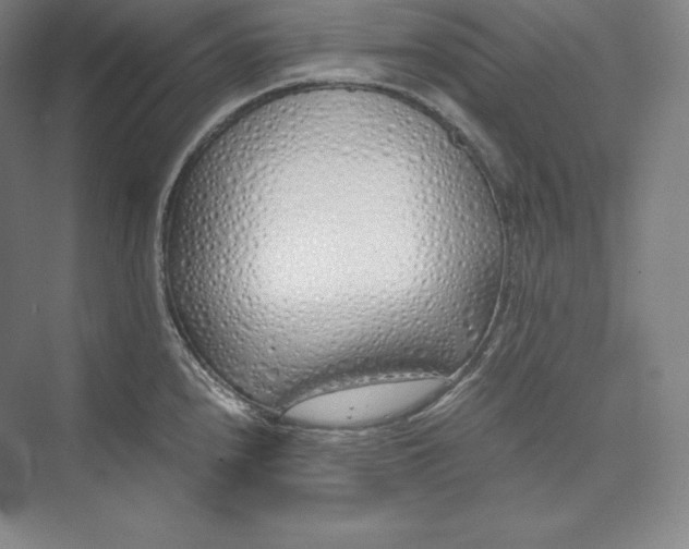 X0000073471240200608111528