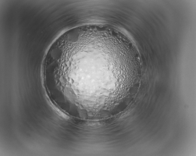 X0000073471243200608111528