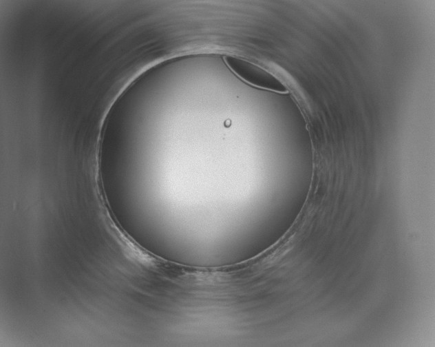 X0000073471244200608111528