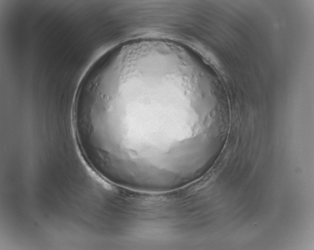 X0000073471247200608111528