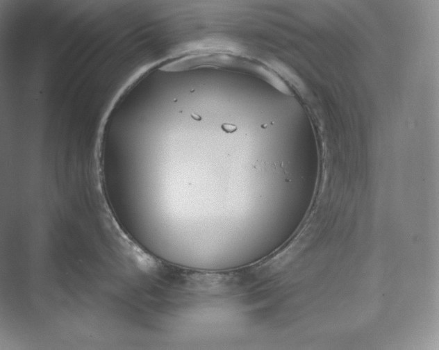 X0000073471248200608111528