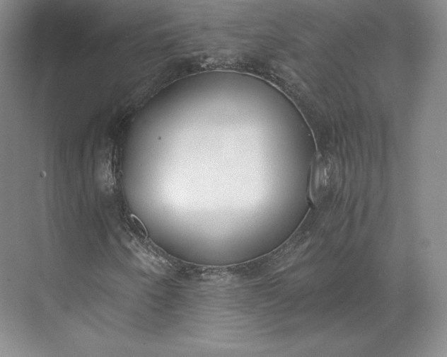 X0000073471250200608111527