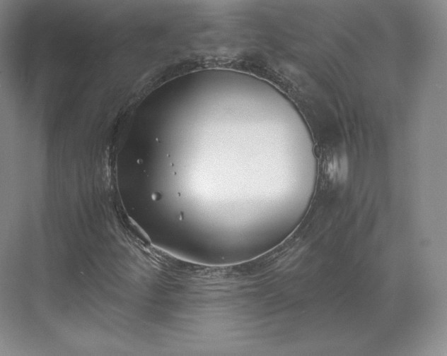 X0000073471252200608111527