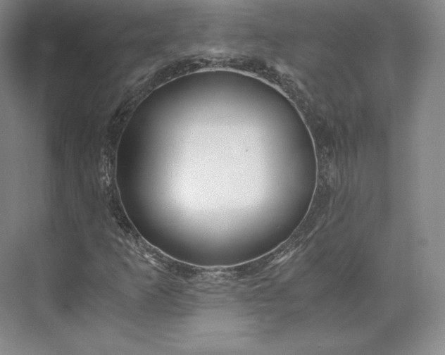 X0000073471253200608111527