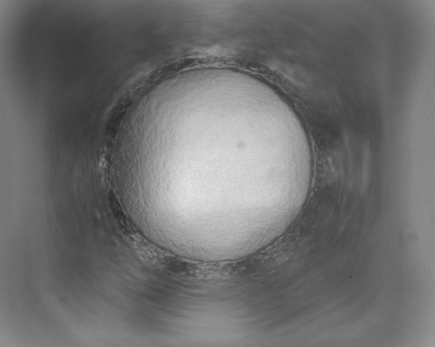 X0000073471254200608111527