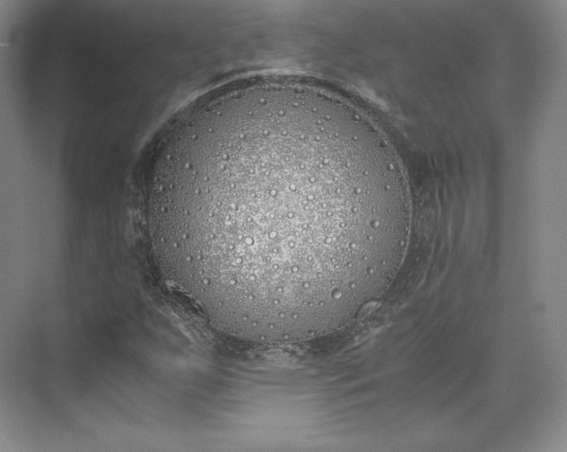 X0000073471255200608111527