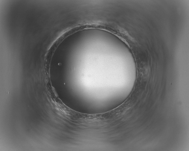 X0000073471256200608111527