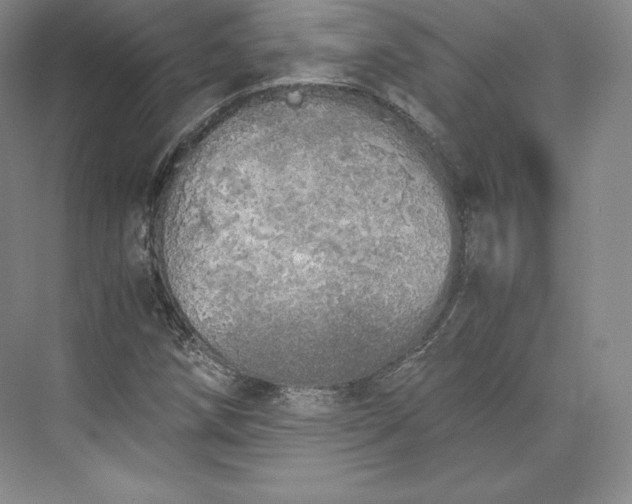 X0000073471258200608111527