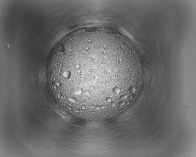 X0000073471259200608111527