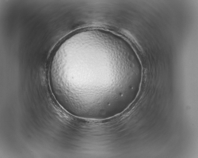 X0000073471260200608111527