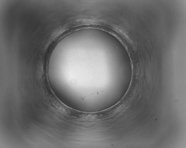 X0000073471261200608111527