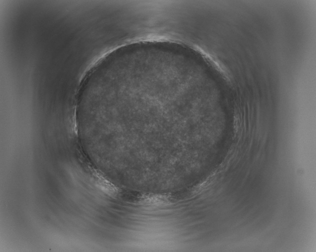 X0000073471262200608111527