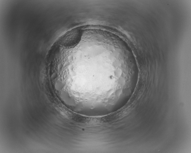 X0000073471263200608111527