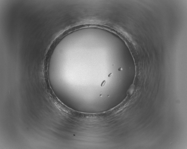 X0000073471264200608111527