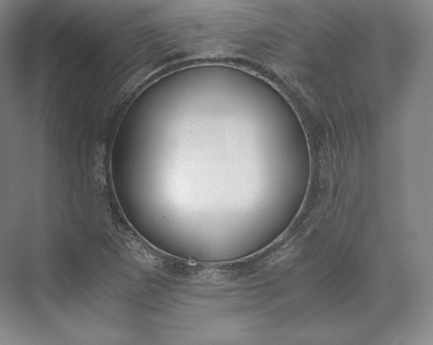 X0000073471265200608111527