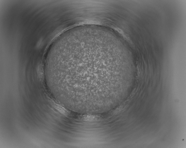 X0000073471266200608111527