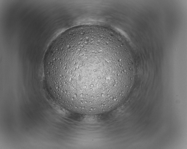 X0000073471267200608111527