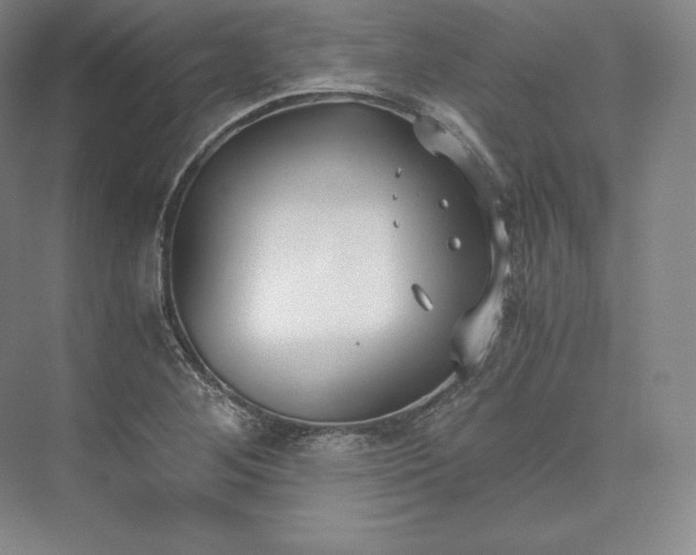 X0000073471268200608111527