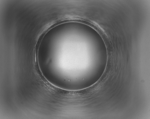 X0000073471269200608111527