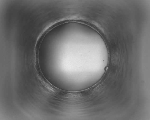 X0000073471270200608111526