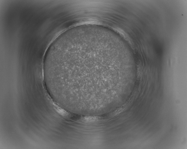 X0000073471274200608111526