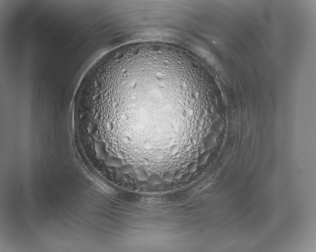 X0000073471275200608111526