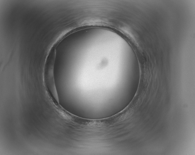 X0000073471277200608111526