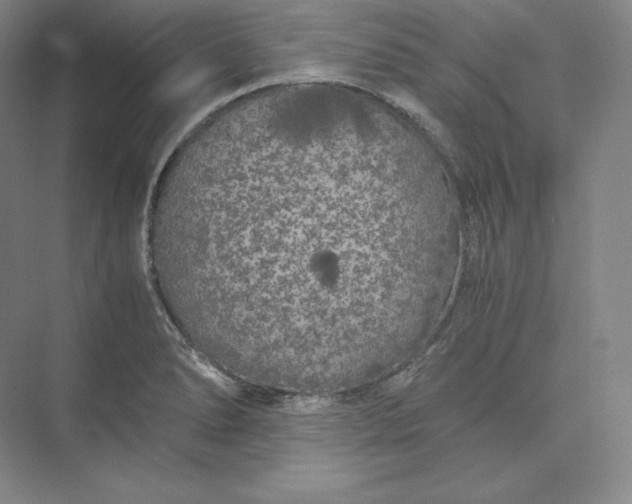 X0000073471278200608111526