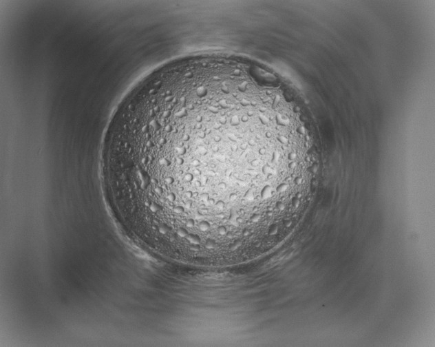 X0000073471279200608111526