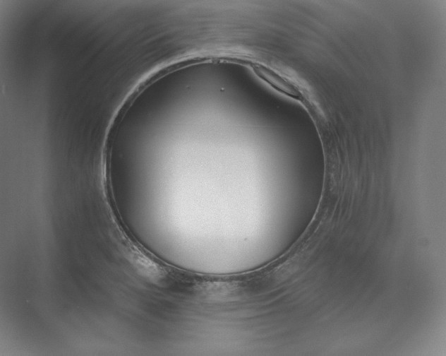 X0000073471280200608111526