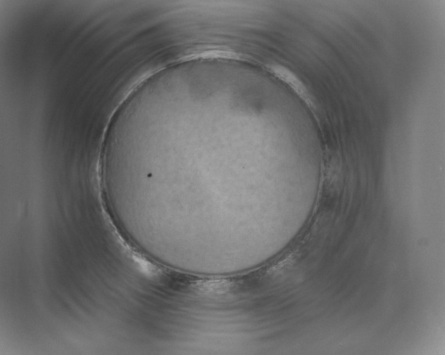 X0000073471282200608111526