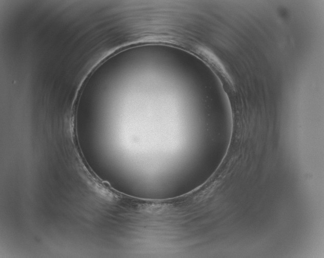 X0000073471284200608111526