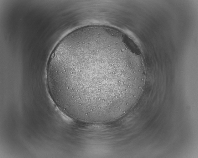 X0000073471287200608111526