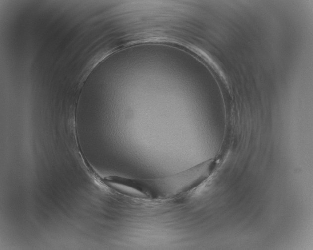 X0000073471289200608111526