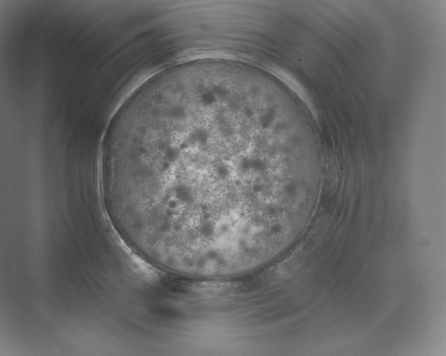 X0000073471290200608111526