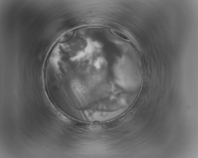 X0000073471291200608111526