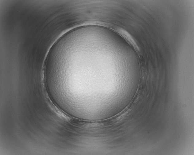 X0000073471292200608111526