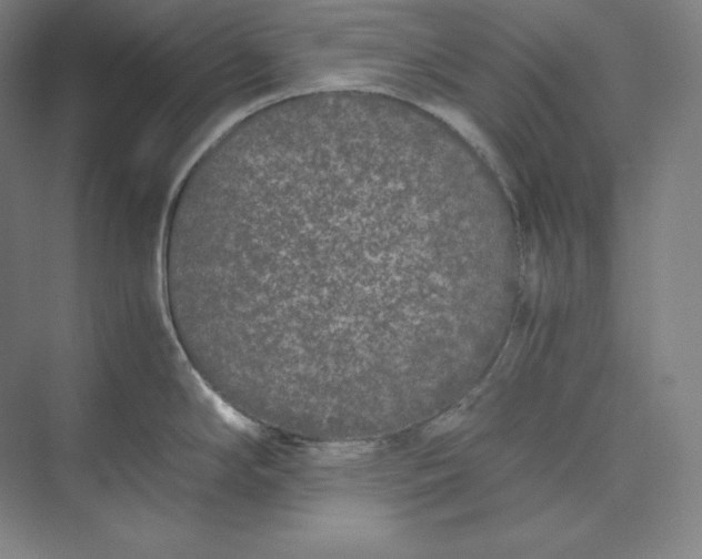 X0000073471294200608111526