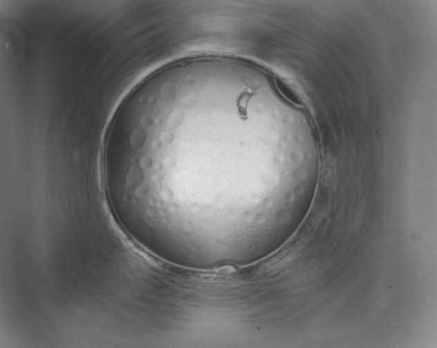 X0000073471295200608111526