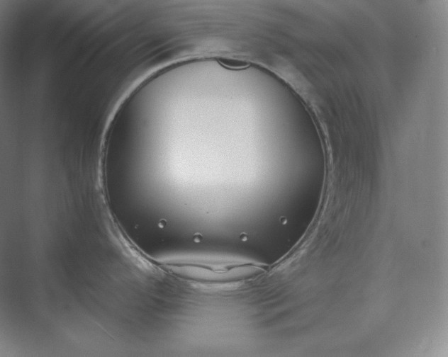 X0000073471296200608111526