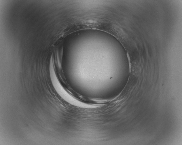 X0000073471298200608111525